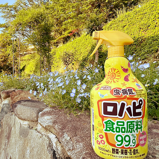 ya-さんの実例写真