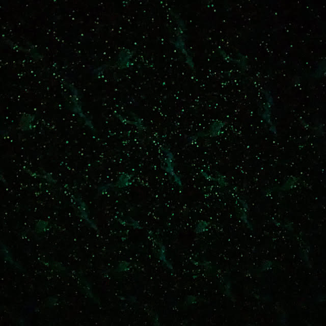 星꙳★*ﾟ/お気に入り♡/照明/壁/天井のインテリア実例 - 2020-08-27 00:33:06