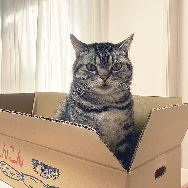 richanさんの実例写真