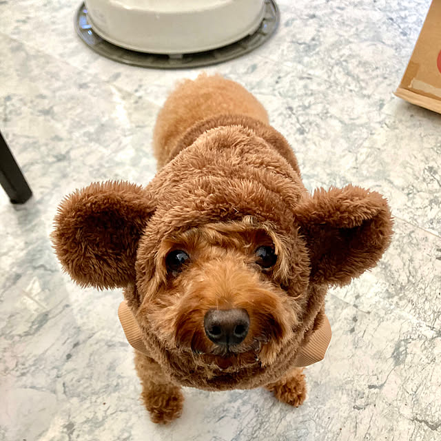 MOMOMAMAさんの実例写真