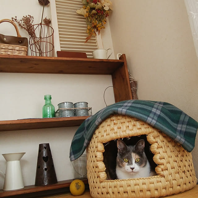 tomo1220さんの実例写真