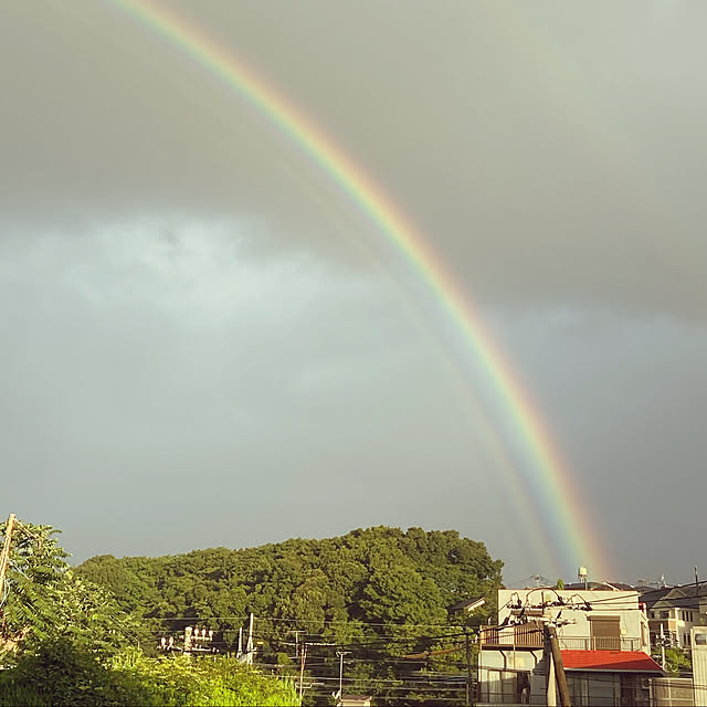実例写真
