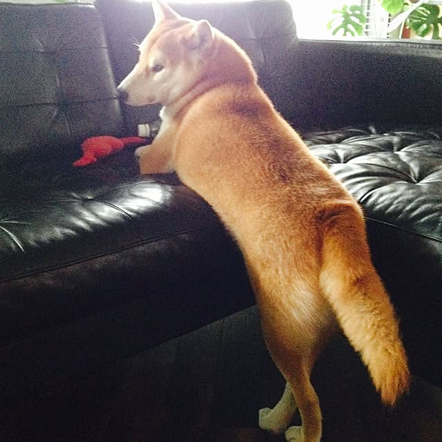 Makikoさんの実例写真