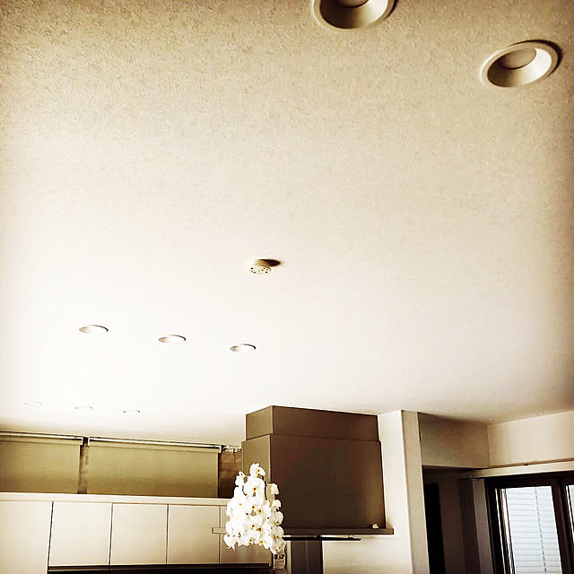 Roomba960さんの実例写真