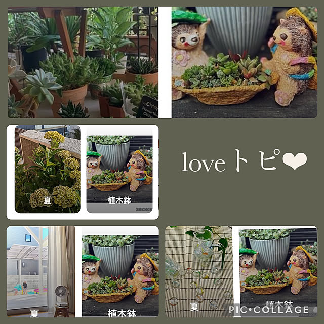 CoCo0617さんの実例写真