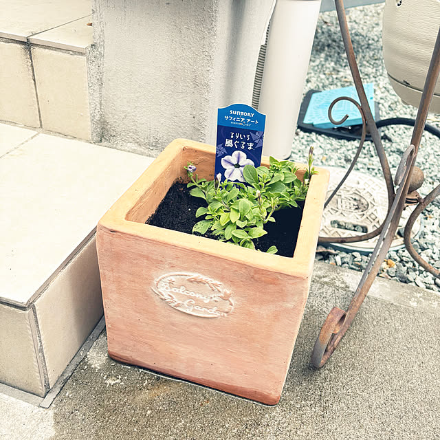 mhomemさんの部屋