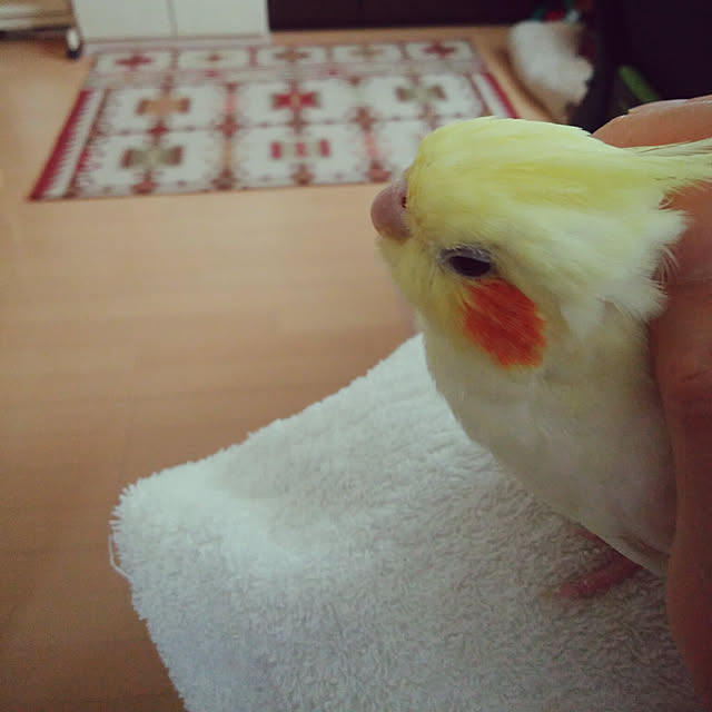 pontaさんの実例写真