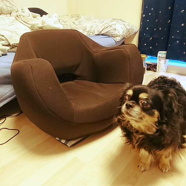 m.retoroさんの実例写真