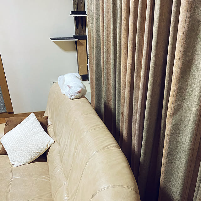 Mugiさんの実例写真