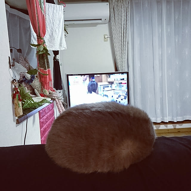uchizukonyanさんの実例写真