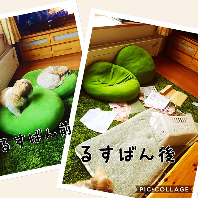 issei19maasa10さんの実例写真