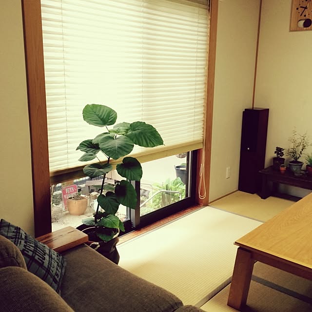 akiさんの実例写真