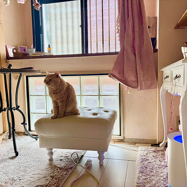 naokoさんの部屋