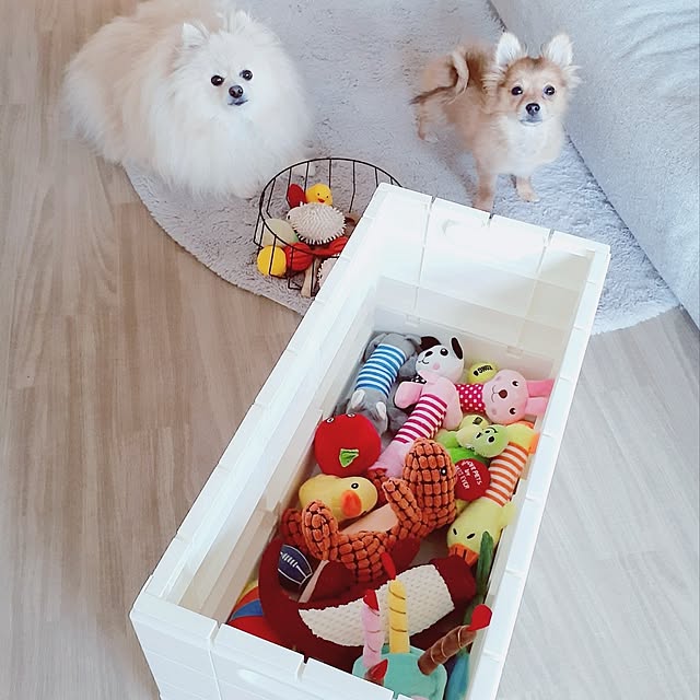 noahさんの実例写真