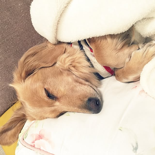 bibianさんの実例写真