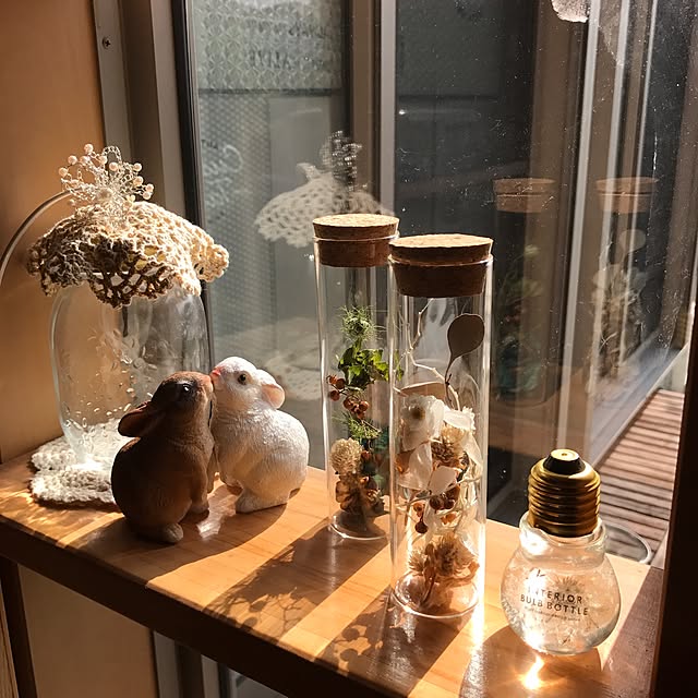 portulacaさんの実例写真