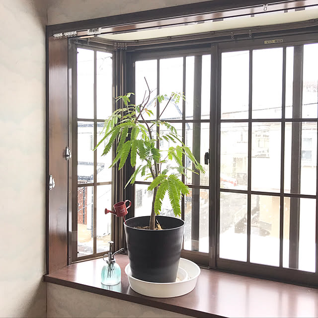 miporinさんの実例写真