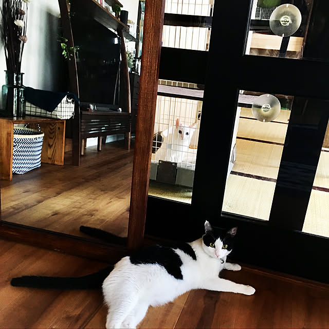 Yukinekoさんの実例写真