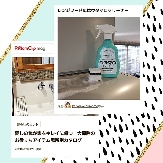 kedarakeinumomoさんの実例写真