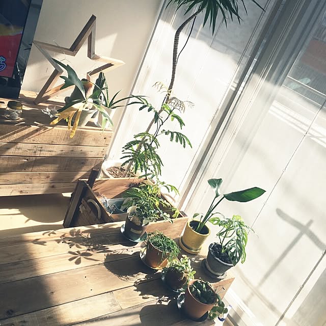 cafe-plageさんの実例写真