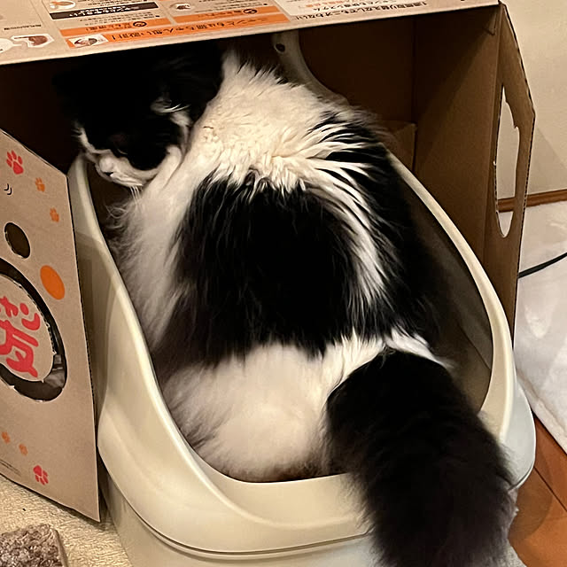 reonさんの実例写真