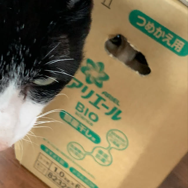mikeume7さんの実例写真