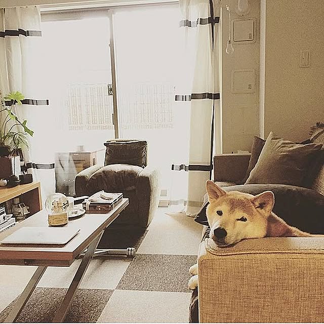daichingさんの実例写真