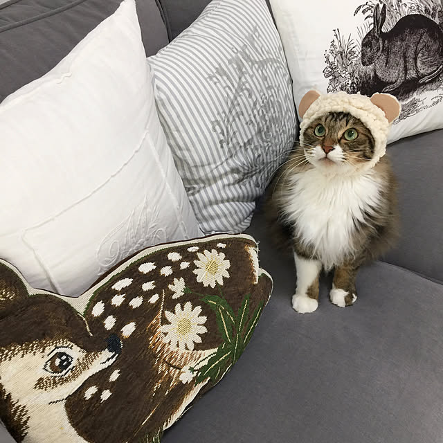 yuchiさんの実例写真