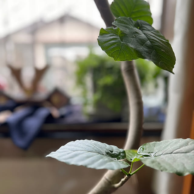 Kuniさんの部屋