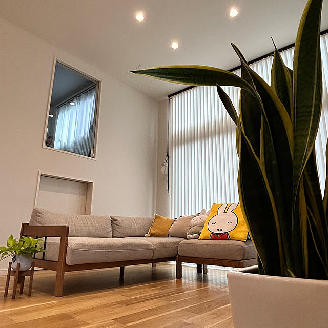 miffy.0044さんの実例写真