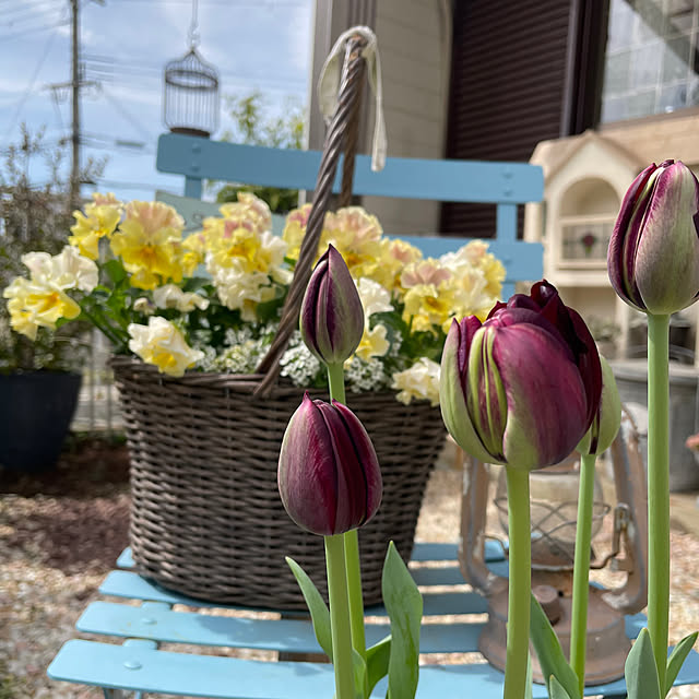 riceさんの実例写真