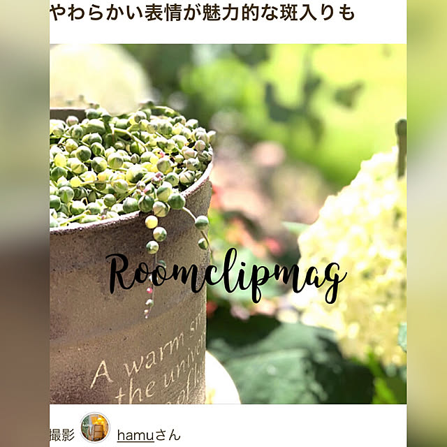 hamuさんの実例写真