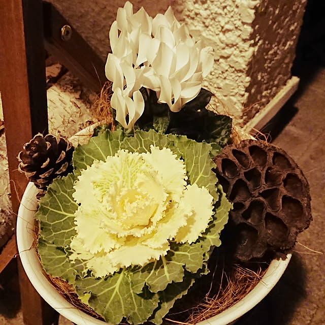 renrinmamaさんの実例写真