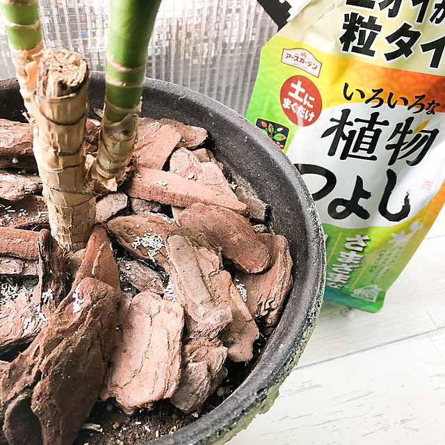 KirinPandaさんの部屋
