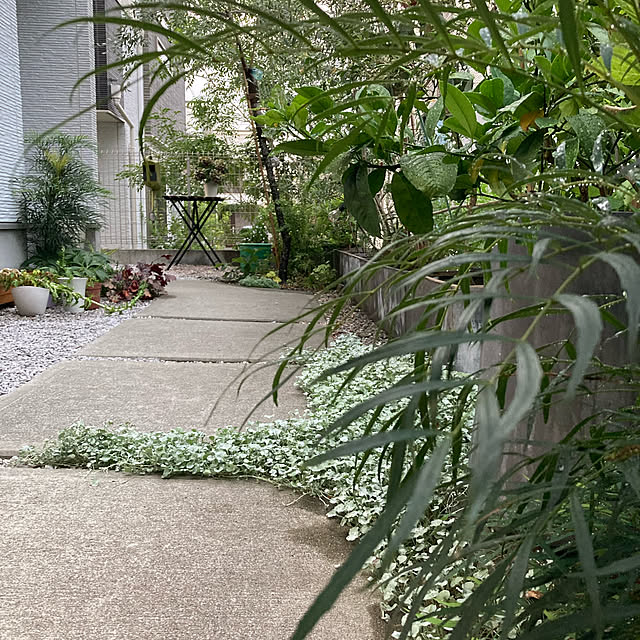 hatsugaさんの実例写真