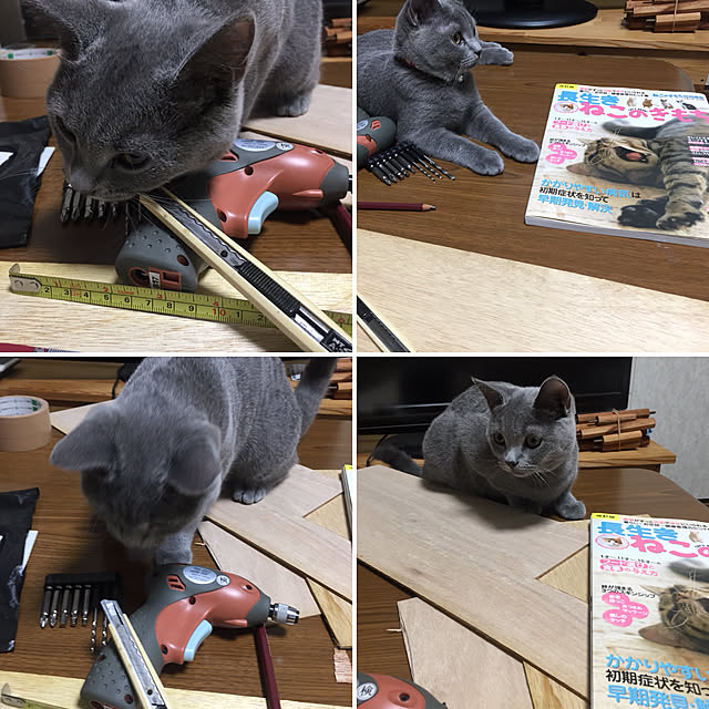 masaさんの実例写真