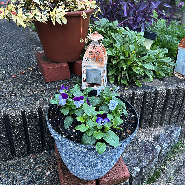 ritsukoさんの部屋