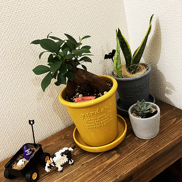 hauさんの実例写真
