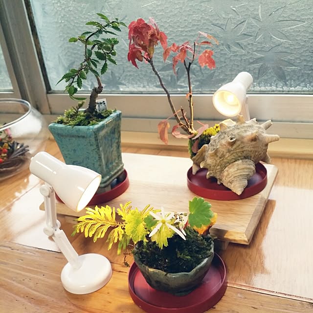 hana.1321jpさんの実例写真