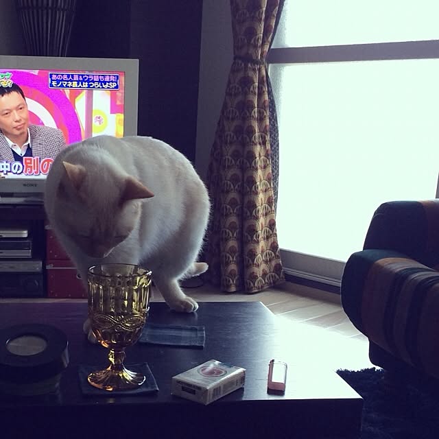 bobooooonさんの実例写真