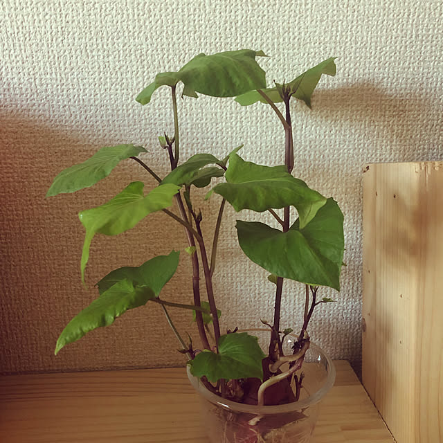 charさんの実例写真