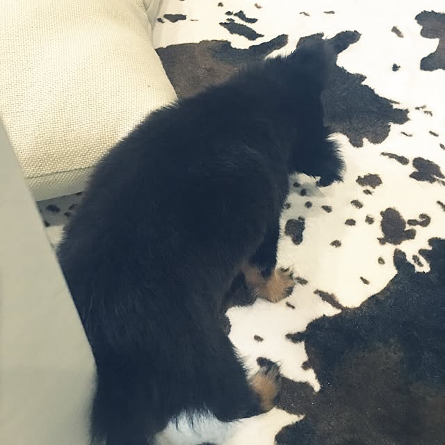 miitanさんの実例写真