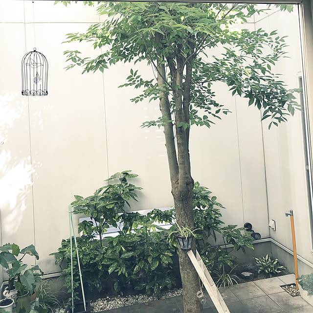 taguさんの実例写真