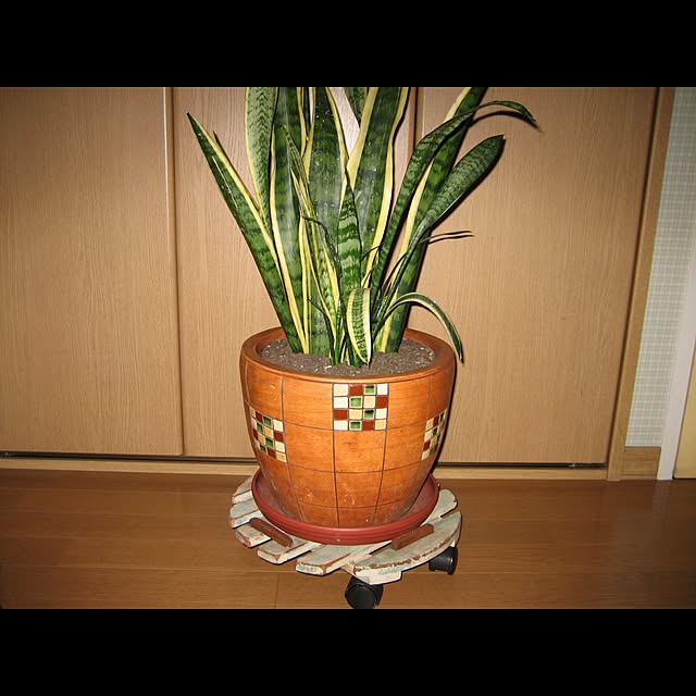 kazuさんの実例写真