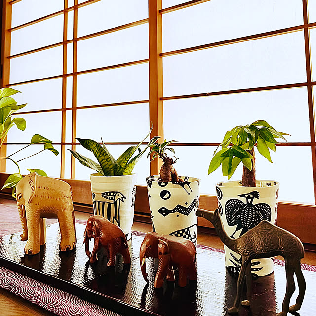 NAOさんの実例写真