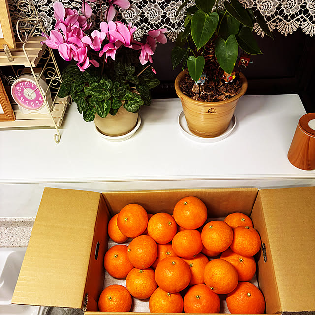 KYONさんの実例写真