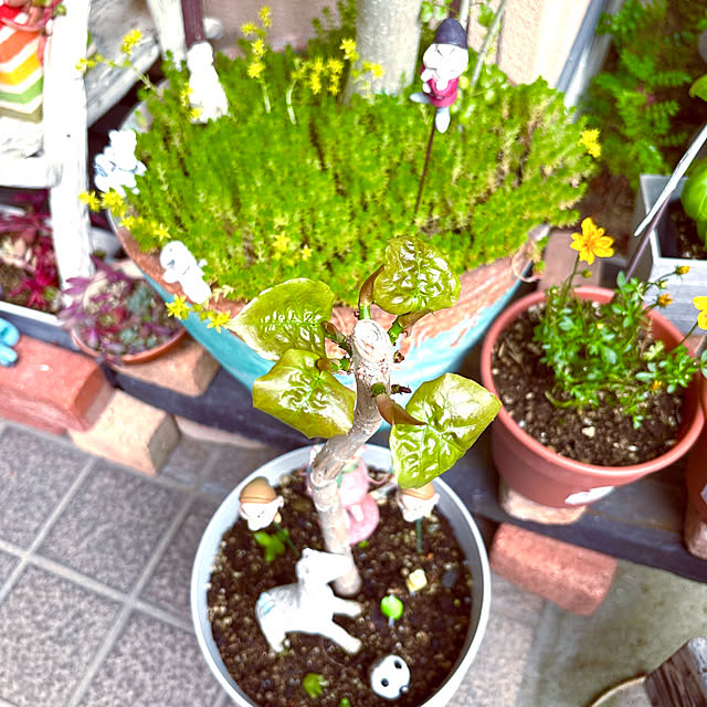 takakoさんの部屋