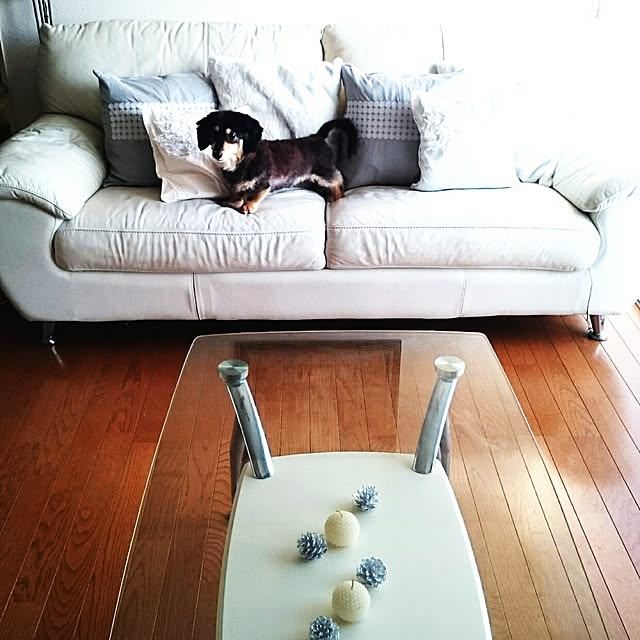 hiyo.pietさんの実例写真