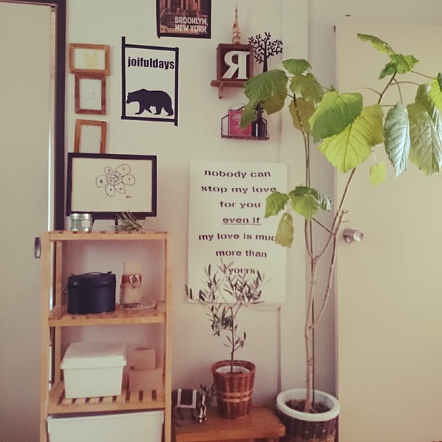部屋全体/賃貸/観葉植物/DIY/100均のインテリア実例 - 2015-04-27 12:14:03