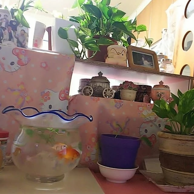 seikoさんの実例写真